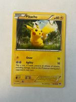 Pokemon - Beliebte Pikachu