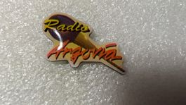 Ansteckpin 207: Radio Argovia