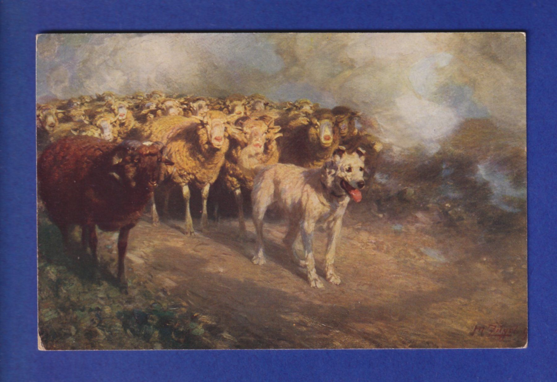 Cartoline postali: CHIEN / HUND - Moutons – Usato da Pully venduto da nicecards-shop