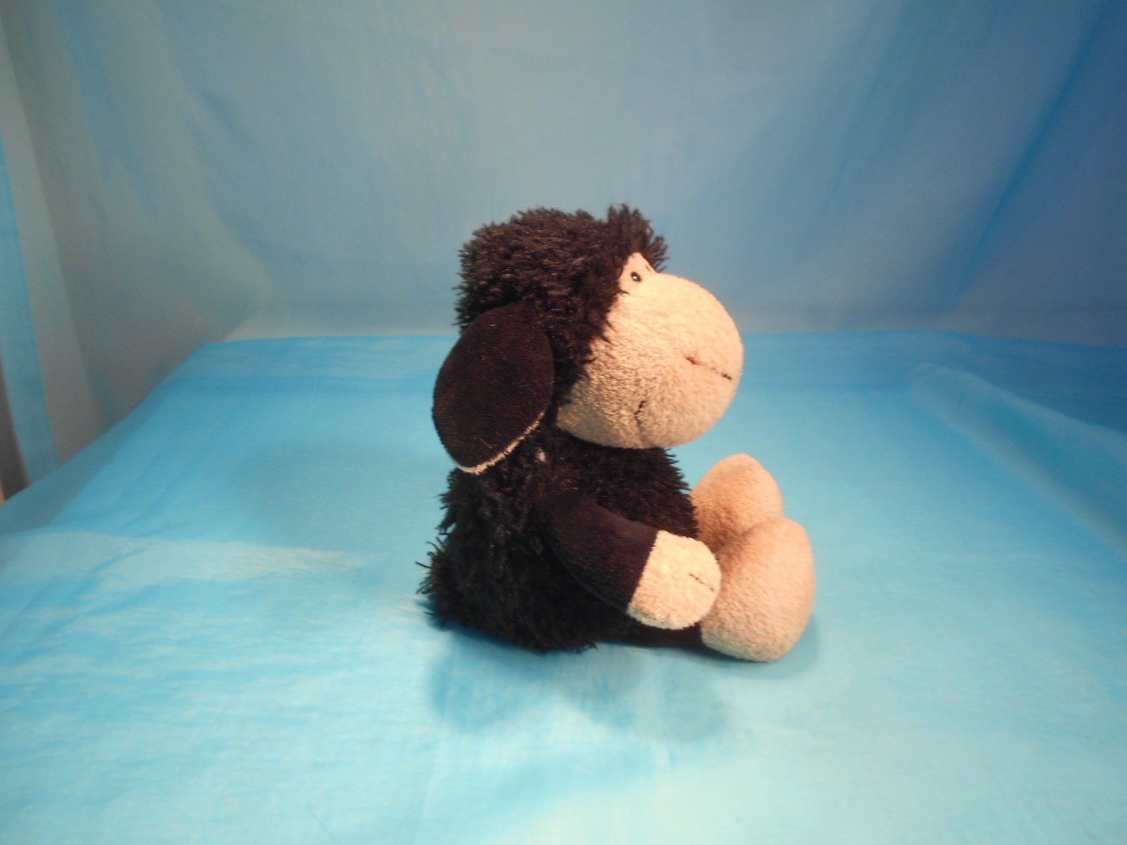 Nici Giocattoli: NICI schwarzes Schaf, L: 25cm – Usato da Bellach venduto da JingleCherry 1