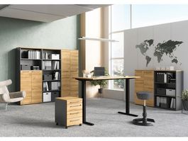 Germania Office furniture Book organizer Library