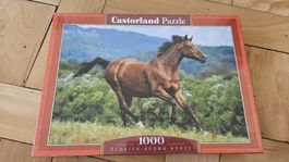 Puzzle 1000 Teile