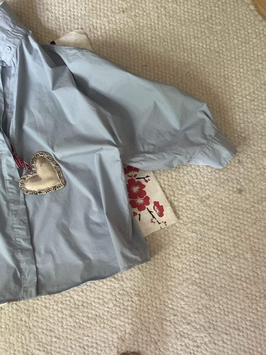 Zara Camicette: Leichte Sommerbluse ü. mhellblau, Grösse M, top Zustand – Nuovo (secondo la descrizione) da Basel venduto da Jul17 6