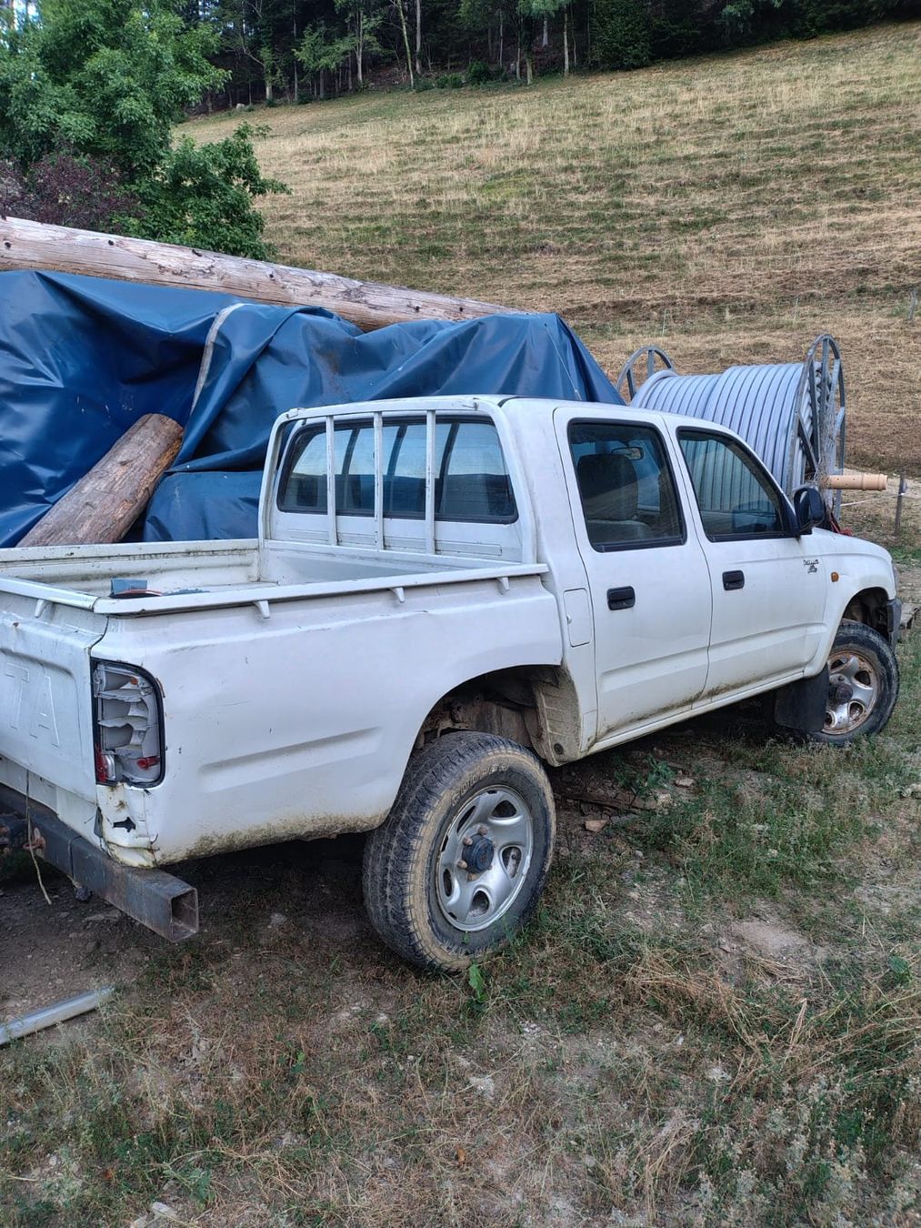Toyota Automobili: Toyota Hilux – Usato da Beinwil SO venduto da svro 1