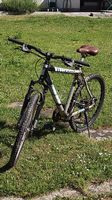 Mountainbike Arrow