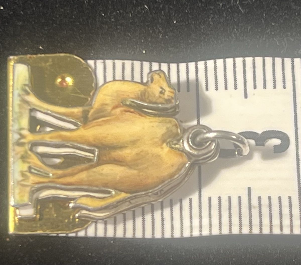 Ciondoli: SPLENDIDE CHARM VINTAGE CHAMEAU ARGENT 800 ÉMAIL POLYCHROME – Usato da Genève venduto da DELIRBEADS 9
