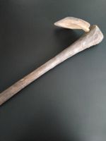 Joue primitive