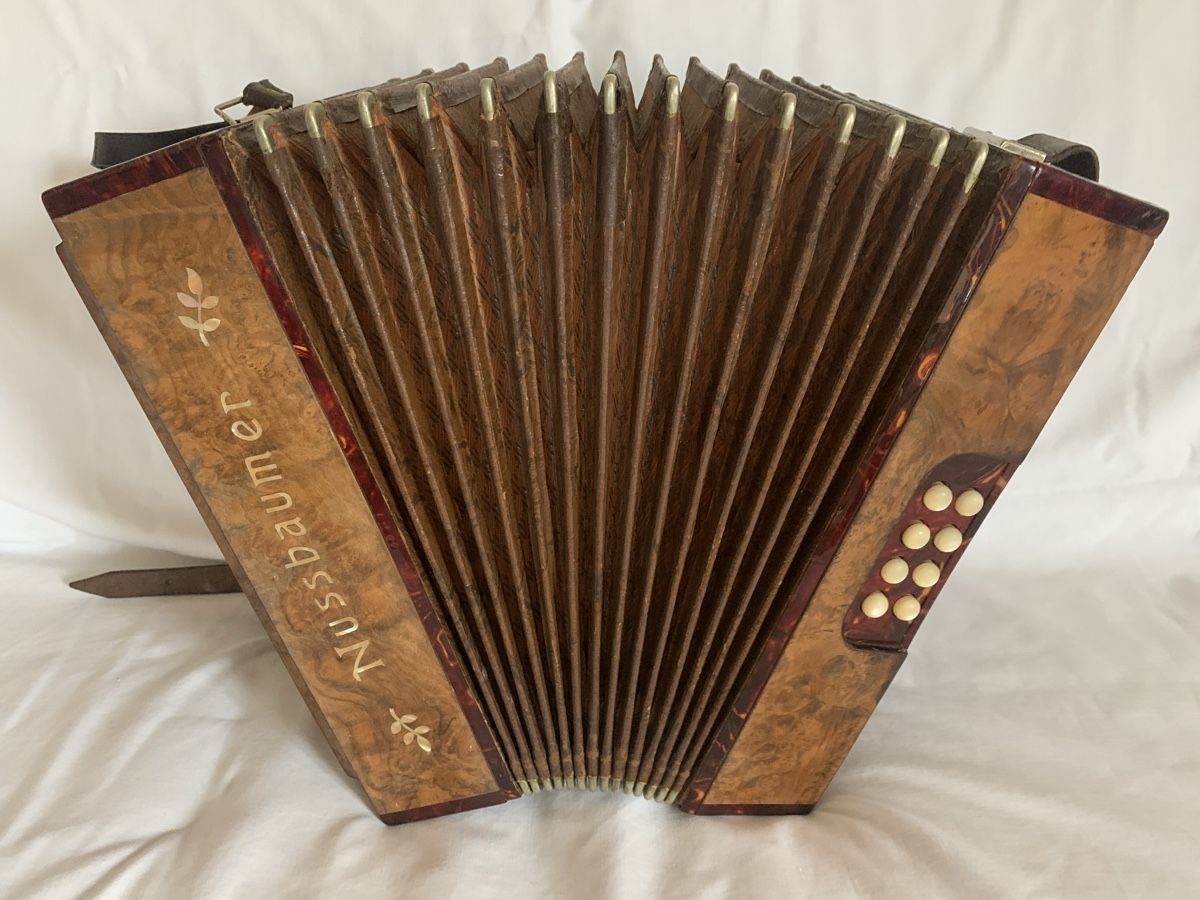 Strumenti musicali: Diatonische Handorgel – Usato da Zürich venduto da Olimpied 2
