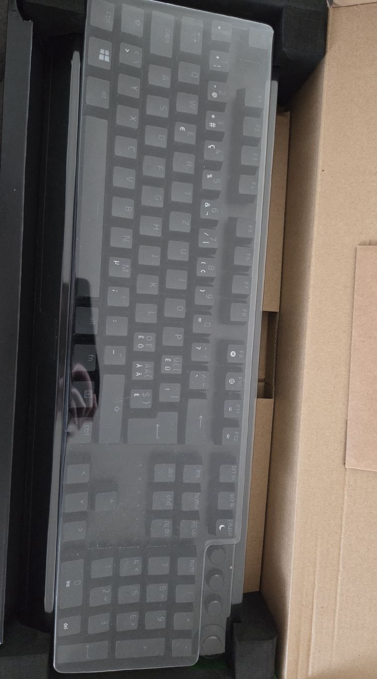 Razer Tastiere: Razer Blackwidow Pro Swiss – Usato da Aadorf venduto da Spiria1 2