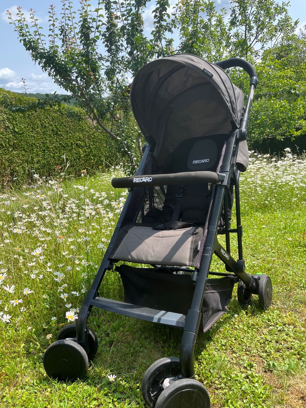 Recaro Carrozzine: Buggy - Recaro – Usato da Luzern venduto da for_d6gg
