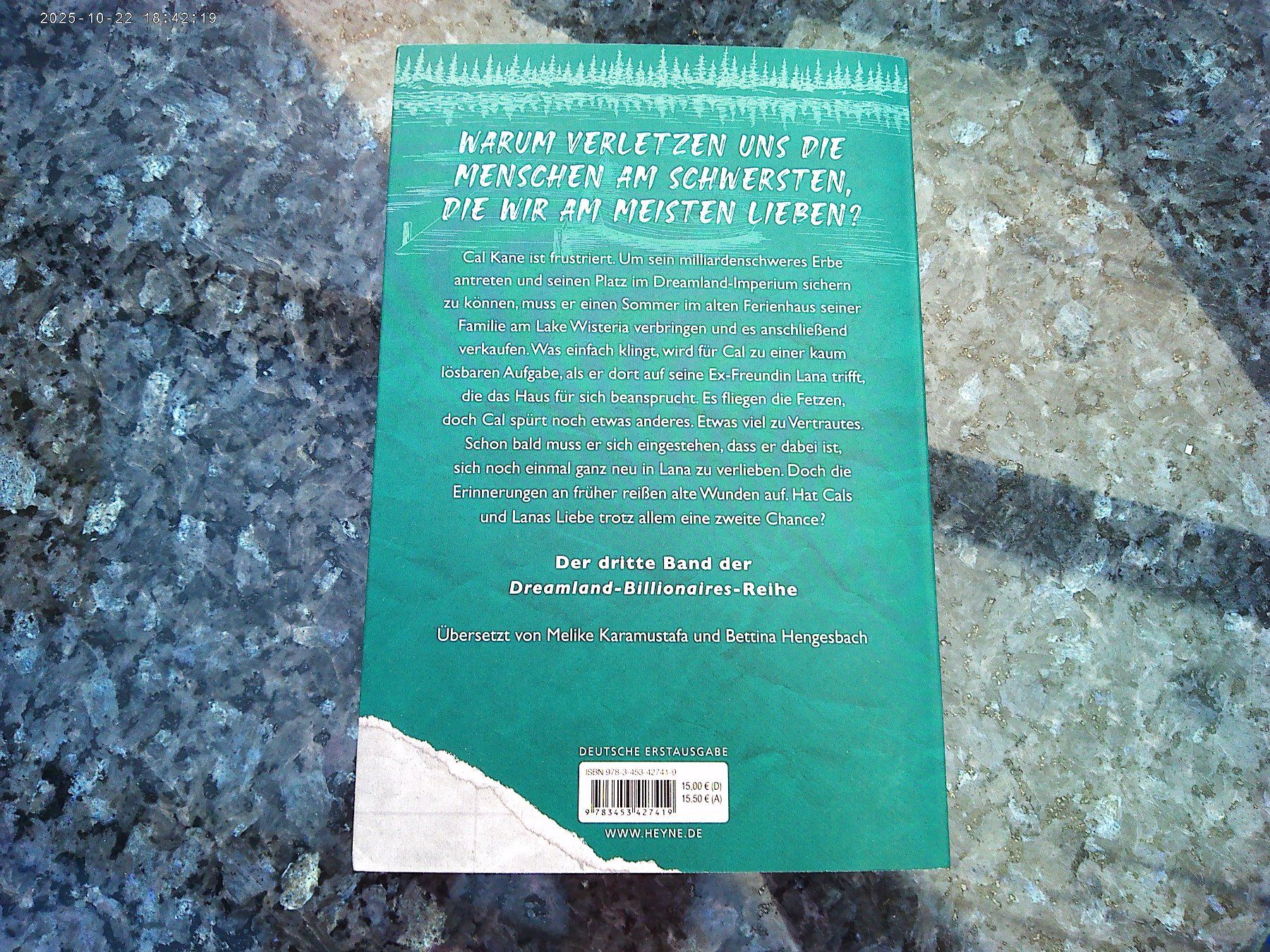 Libri: Dreamland Billionaires - Final Offer – Usato da reitnau venduto da Sib7 1