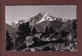 RIEDERALP - Blick von Casselweg