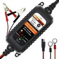 Automatisches Auto Batterie Ladegeräte