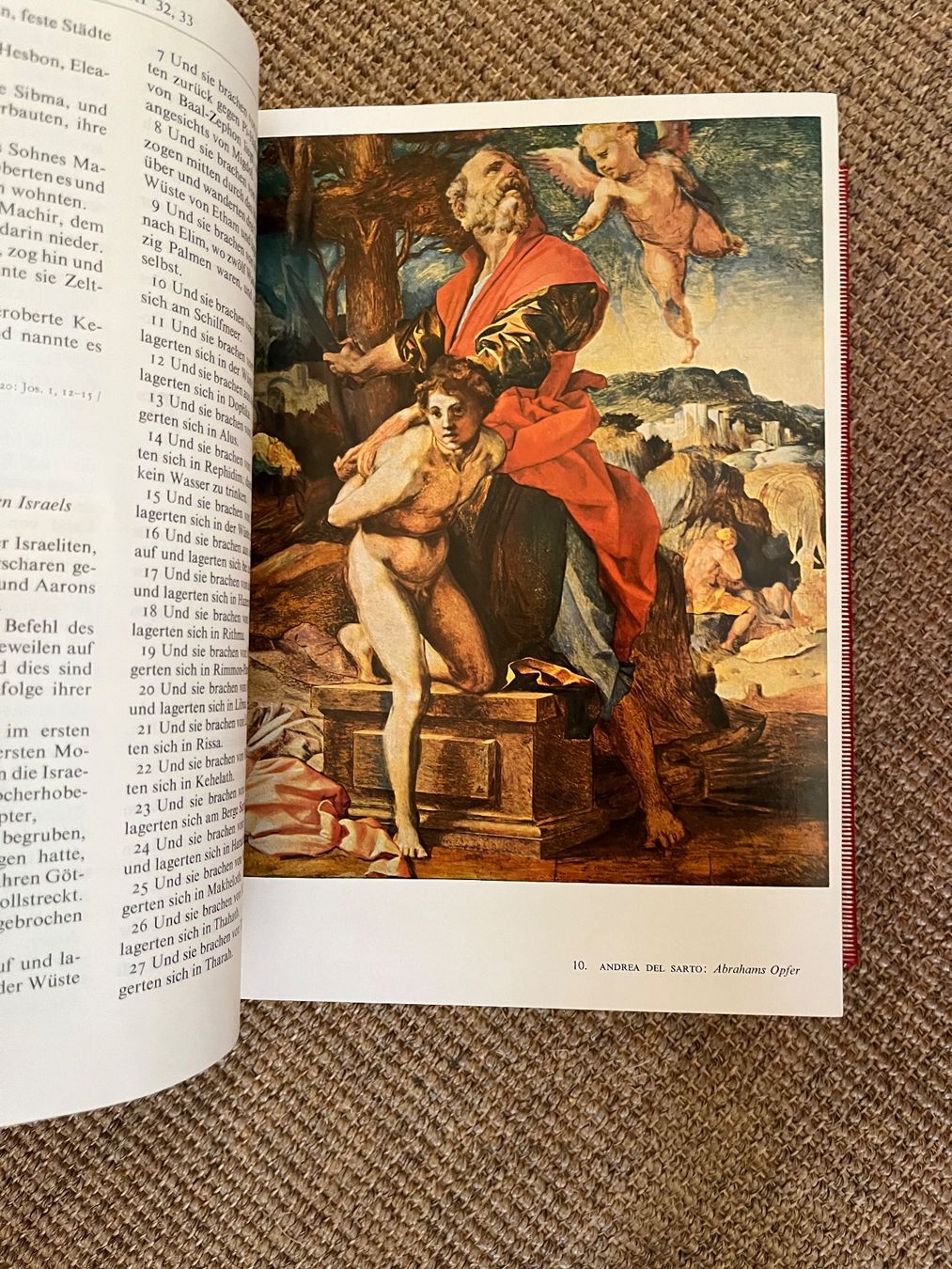 Libri: Bibel - Die Heilige Schrift – Usato da Eschenbach SG venduto da Joey-Li 3