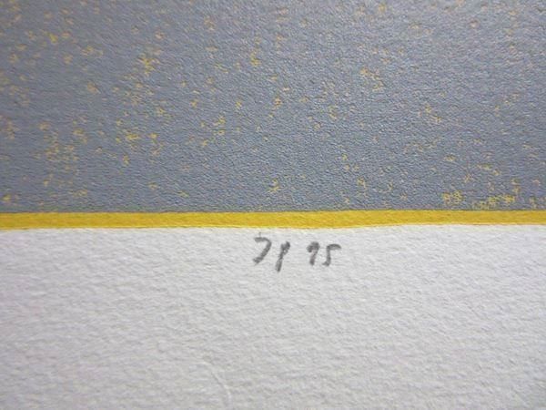 Grafica & Litografie: Jürgen PARTENHEIMER LITHOGRAPHIESIGNIERT NUMMERIERT – Usato da Gersau venduto da grafik-kunst 2