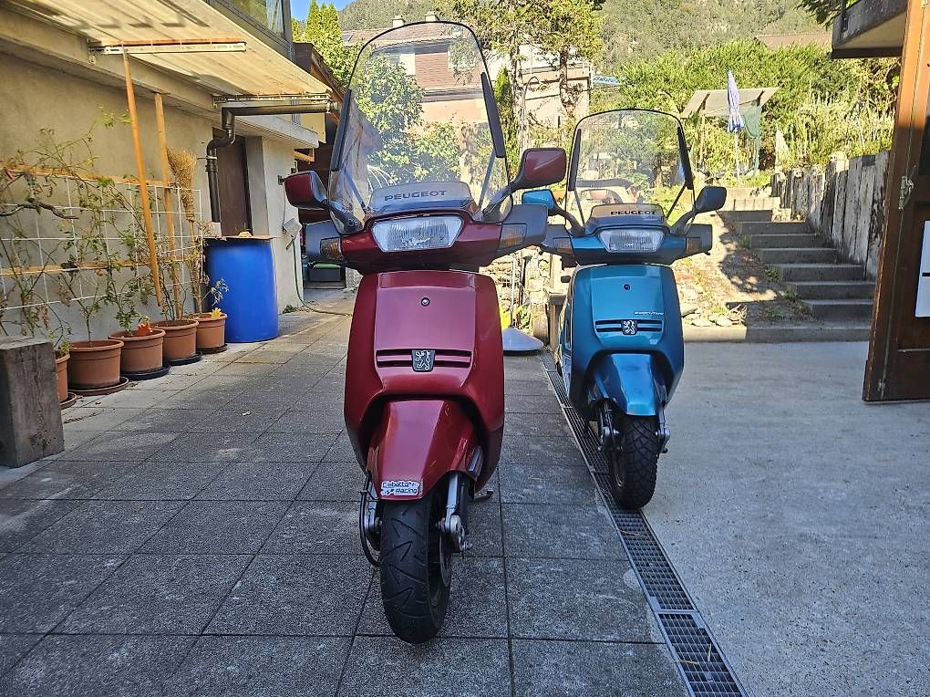 Scooters: Peugeot SV 125 – Gebraucht aus Flüelen von ProfWalker 3