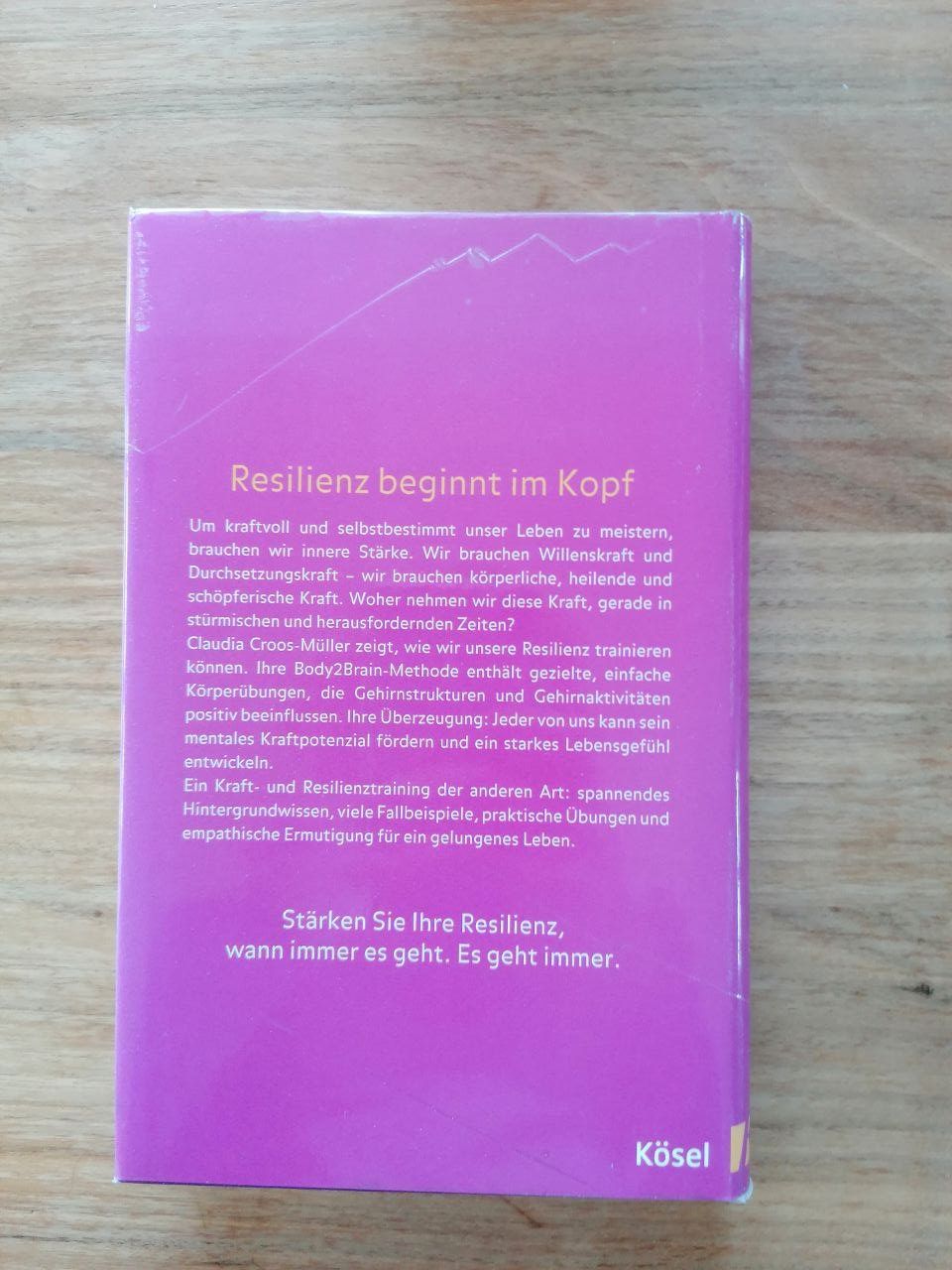 Libri: KRAFT - Der neue Weg zu innerer Stärke – Usato da Hergiswil LU venduto da Anuck 1