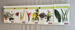 Blooms Pflanzen- Lernkarten (5 Stück) NEU!