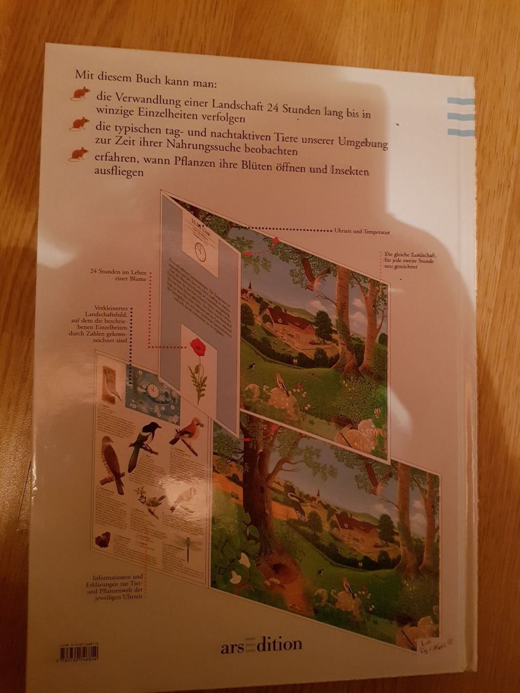 Libri: Buch Tag und Nacht – Nuovo e nell'imballaggio originale da Schwarzenburg venduto da Flamingo07 1
