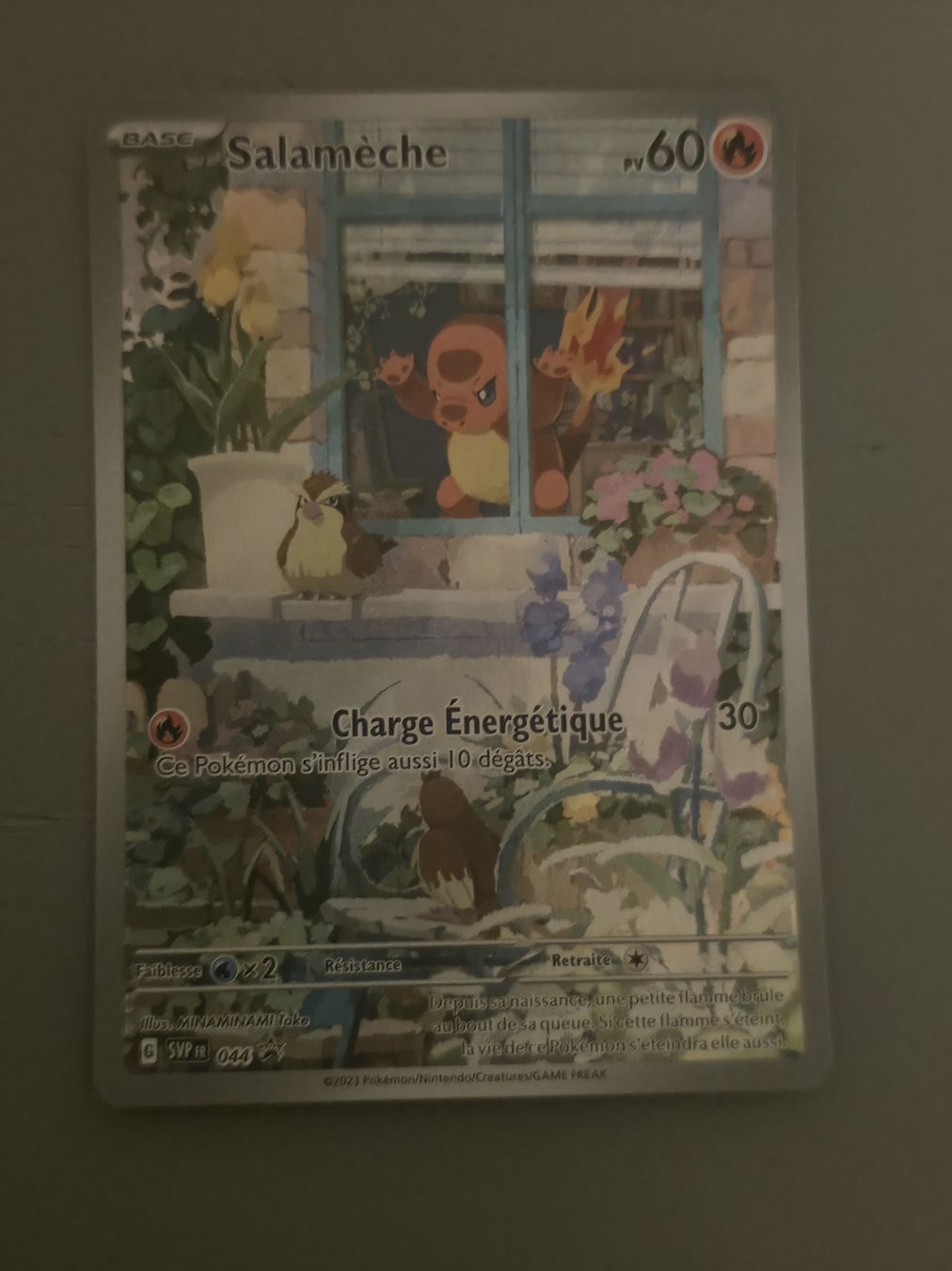 Pokémon Sammelbilder & Trading cards: Carte Pokémon Salamèche promo – Gebraucht aus Préverenges von JeniPokemon