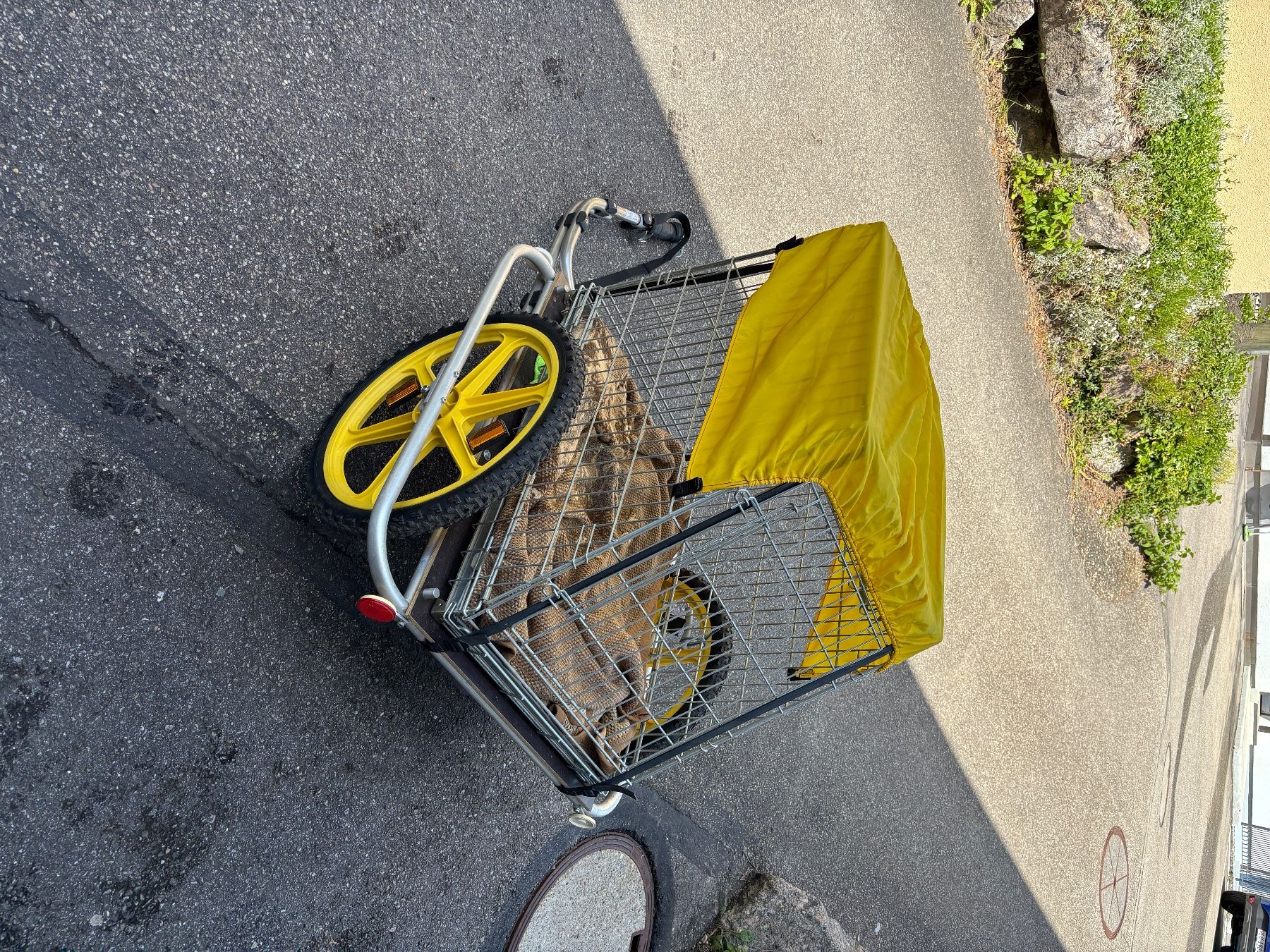 Rimorchi: Hundetransport Anhänger – Usato da Zell LU venduto da Lulaatsh 2