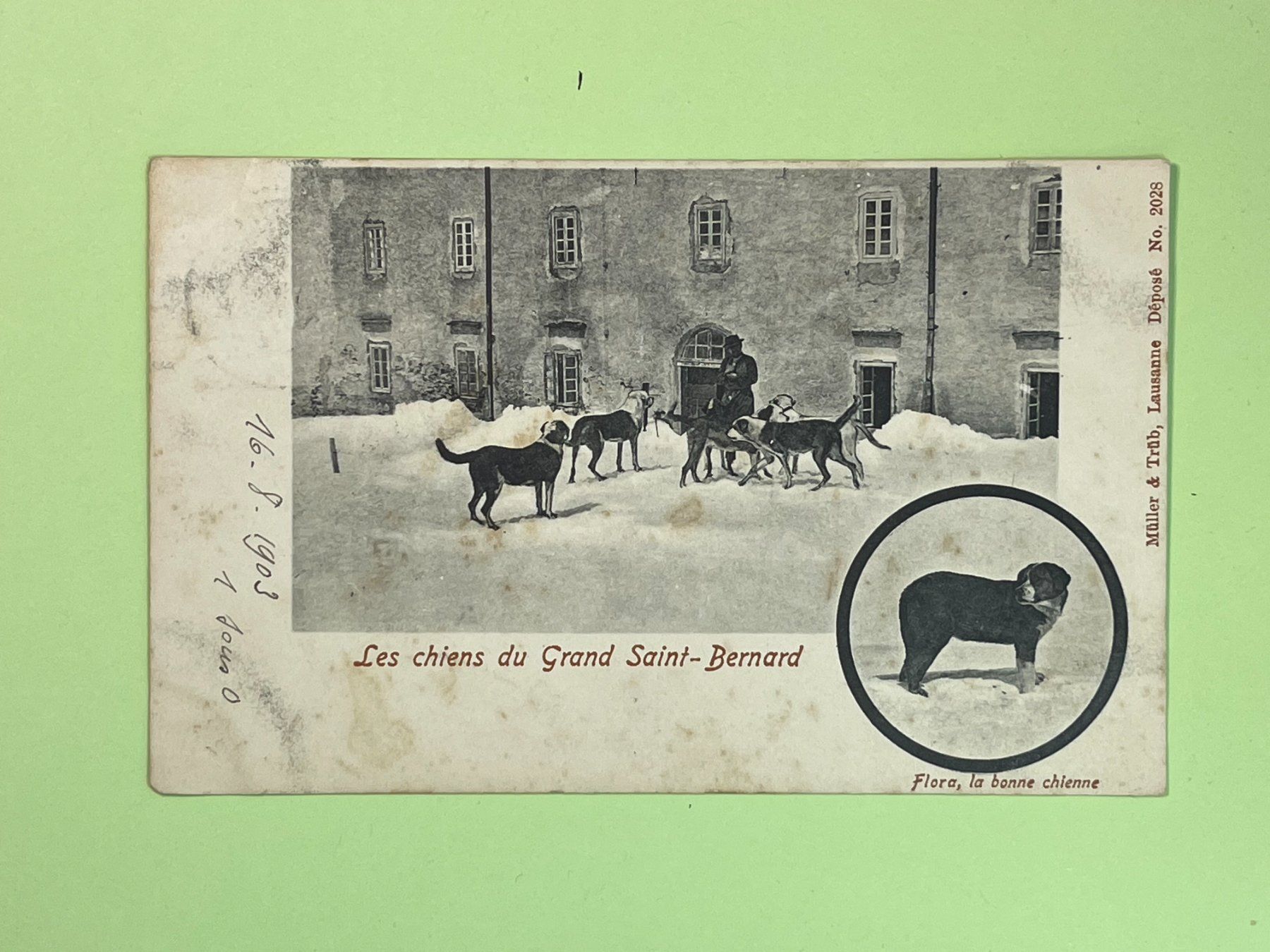 Cartoline postali: Les chiens du Grand Saint-Bernard – Usato da Steg VS venduto da _vinci_