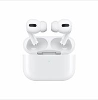 Airpods Pro. 1. Generation Ladecase