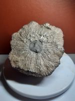 MARCASSITE en nodule 1087gr.