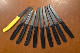 Victorinox Messer-Set