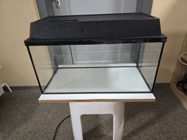 Aquarium 