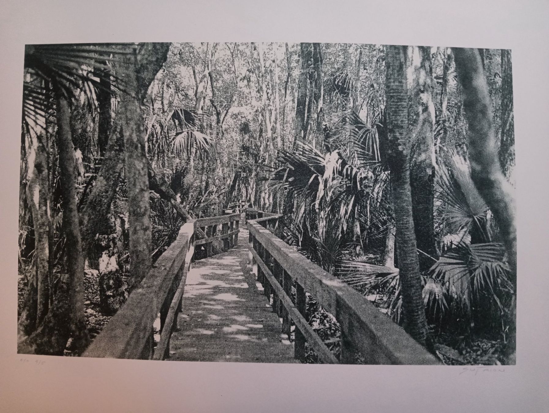 Grafica & Litografie: Lithographie Kunst, Signiert – Nuovo (secondo la descrizione) da Basel venduto da STrudi_9qvp
