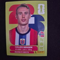 NOR 7 Panini FIFA WM 2026