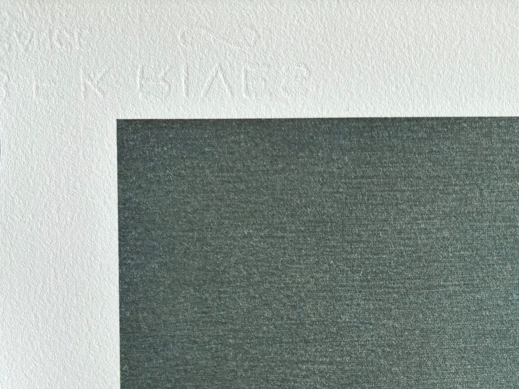 Foto & Immagini: Gerhard Richter, Eis, Fine Art Print, Edition von 500 – Nuovo (secondo la descrizione) da Schönenwerd venduto da inf_cq7x 2