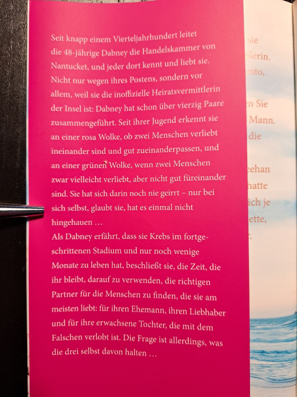 Bücher: Das Sommerversprechen / Elin Hildebrand / Roman – Gebraucht aus Ottenbach von Rasenmaeeher 2