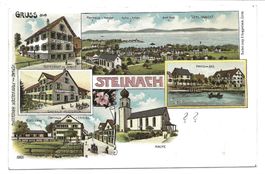 Gruss aus Steinach (SG) Sonne  Sternen Traube - Litho - 1902