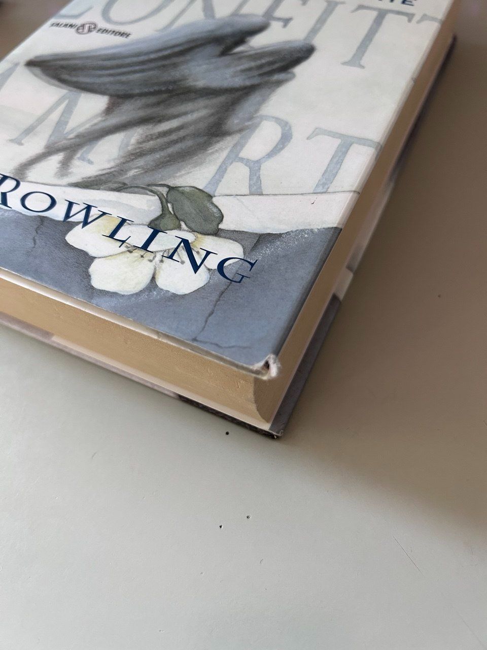 Libri: Harry Potter e i Doni della Morte 2008 – Usato da Giubiasco venduto da LorisVale 6