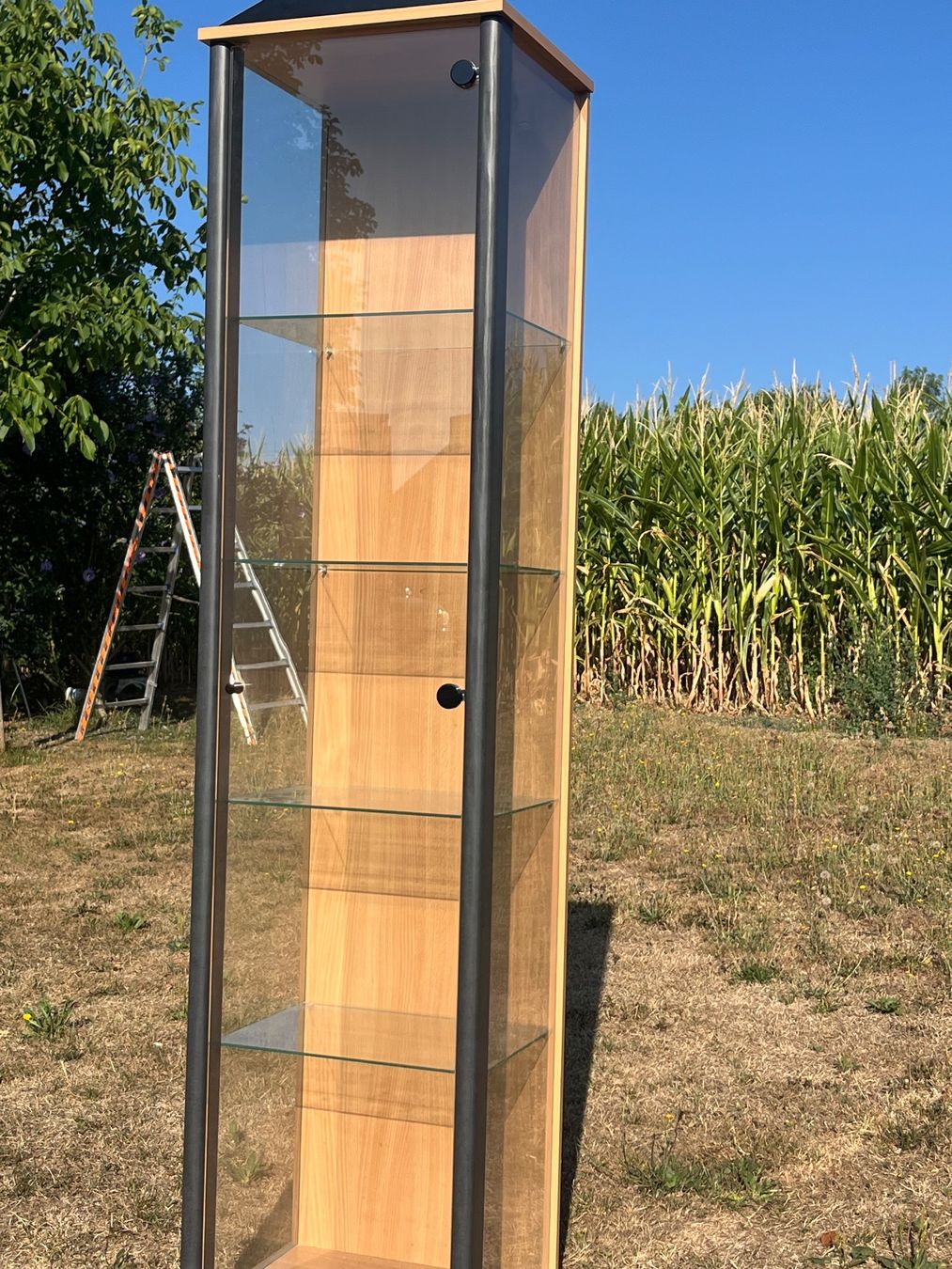 Vitrines: Glasvitrine mit 4 Tablaren – D'occasion à Allmendingen b. BE par juair 3
