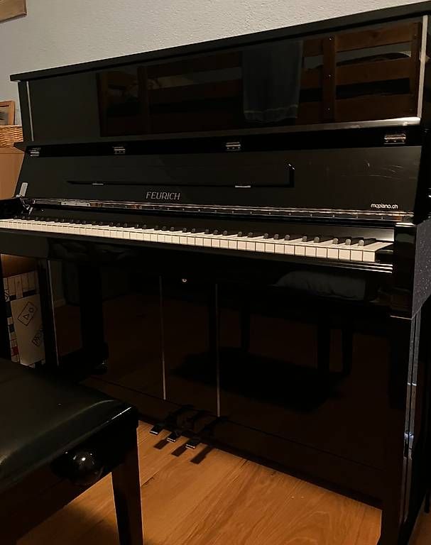 Feurich Strumenti musicali: Feurich Klavier – Usato da Elfingen venduto da inf_m7fb 1
