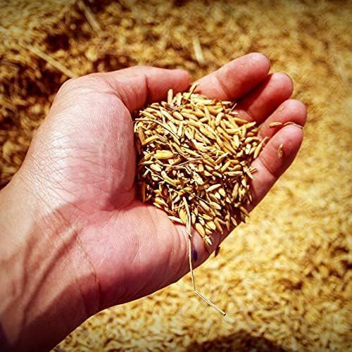 Elettrodomestici da cucina: Handschrotmühle 1 Manuelle Getreidemühle hohem Mahlen – Nuovo e nell'imballaggio originale da Hundwil venduto da pac_6jh8 2