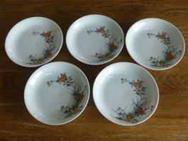 5 kleine Teller mit Blumenmuster, Porzellan, Vintage Stil
