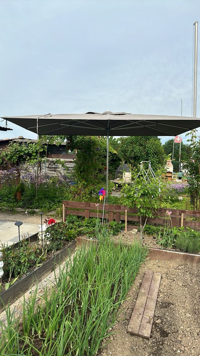 Parasols: Tuuci Sonnenschirm – D'occasion à Dällikon par efe_m8dm 1