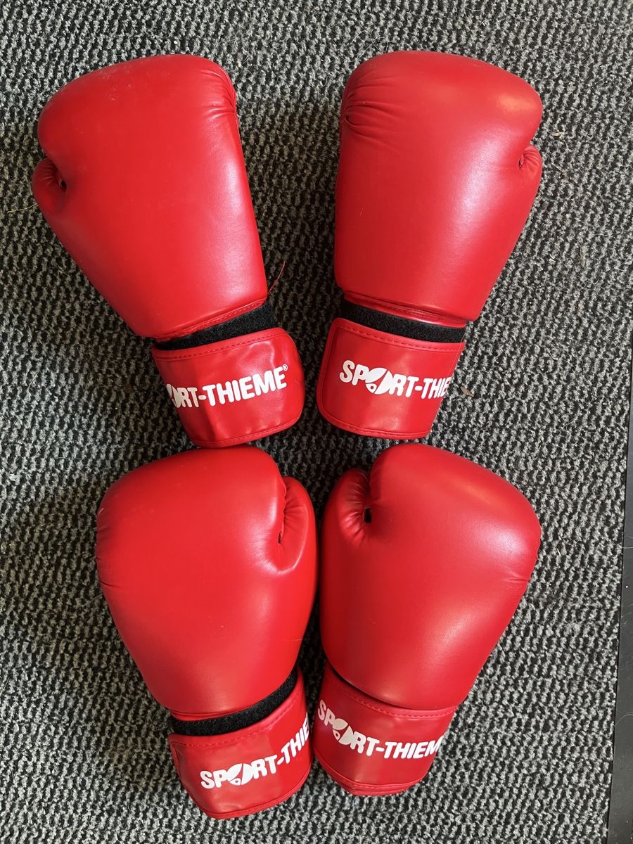 Sacchi da boxe: Kinder-Sport-Thieme Boxsack mit Boxhandschuhe – Usato da Rheinau venduto da kassandra5_12 1