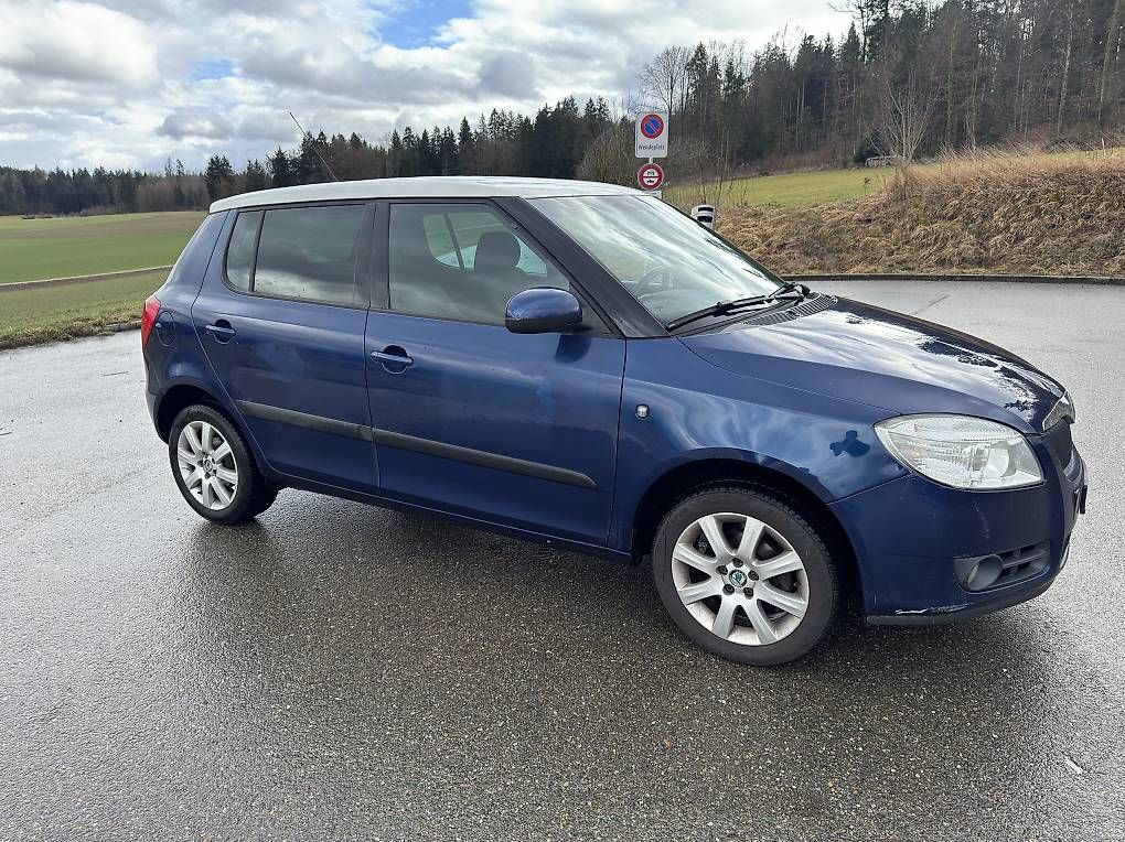 Automobili: Skoda Fabia 1.4i – Usato da Opfikon venduto da Firas8152