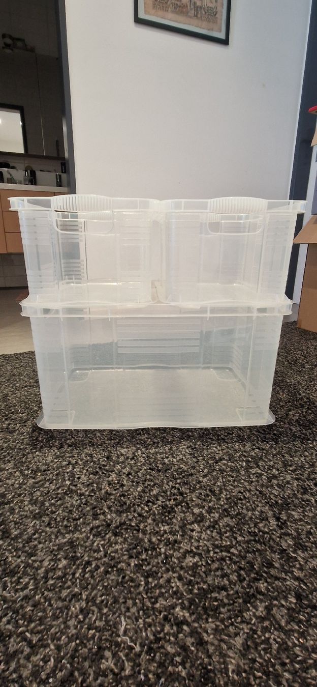 Rotho Behälter & Ähnliches: 3x Rotho Aufbewahrungsboxen transparent – Gebraucht aus Riehen von Aconitum