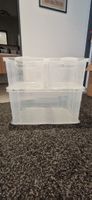 3x Rotho Aufbewahrungsboxen transparent