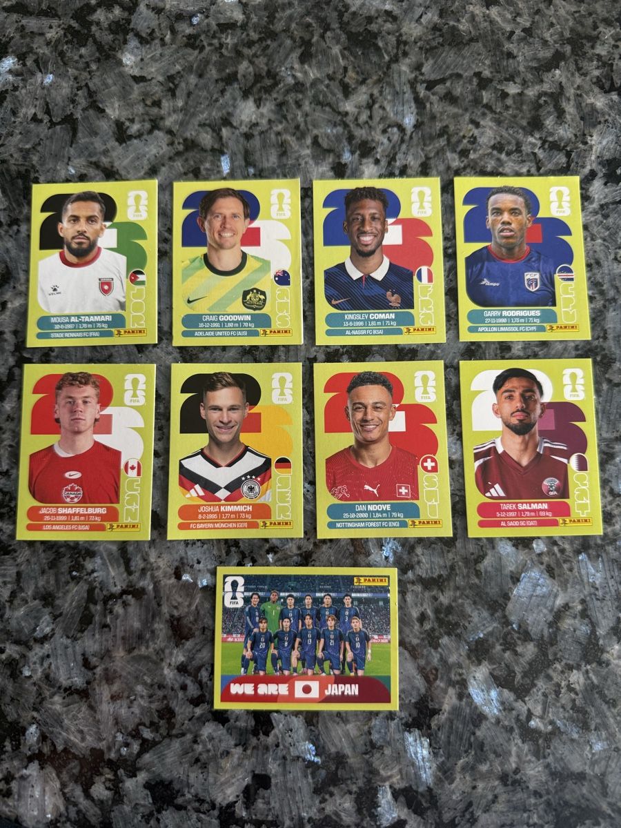 Panini Carte collezionabili: Panini Bilder – Nuovo (secondo la descrizione) da Toffen venduto da Larsl07