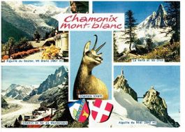 Chamonix Mont-blanc