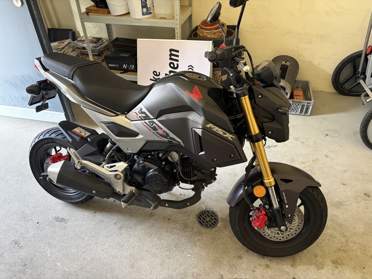 Honda Strada: Honda msx 125 – Usato da Uttwil venduto da fab_c5bp