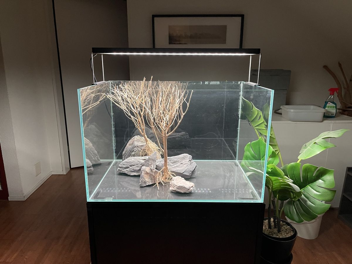 Acquari: Aquarium 🐠 90 Liter – Usato da Hinwil venduto da ron_t8wh 1