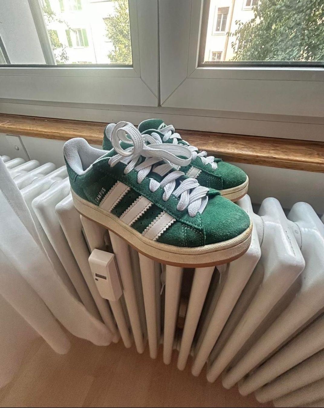 Adidas Damenschuhe: Adidas Campus Schuhe Grösse 36 – Gebraucht aus Basel von kst_ldk6